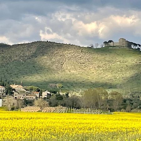 Private Stone Cottage With Starlink & Lake View Tuoro sul Trasimeno Exterior foto